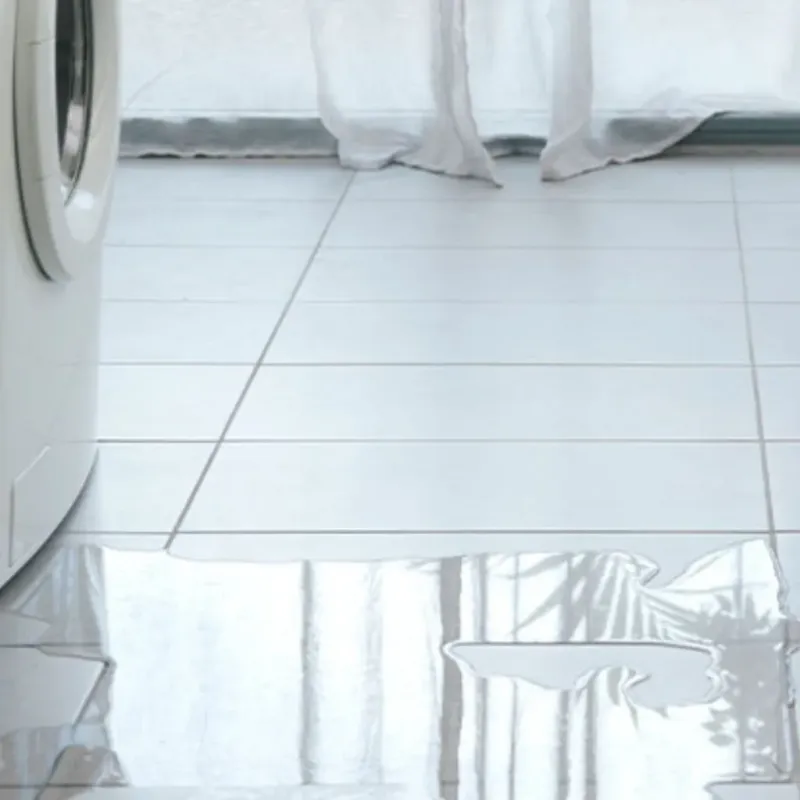 Appliance Leak Cleanup in Latimer, MS