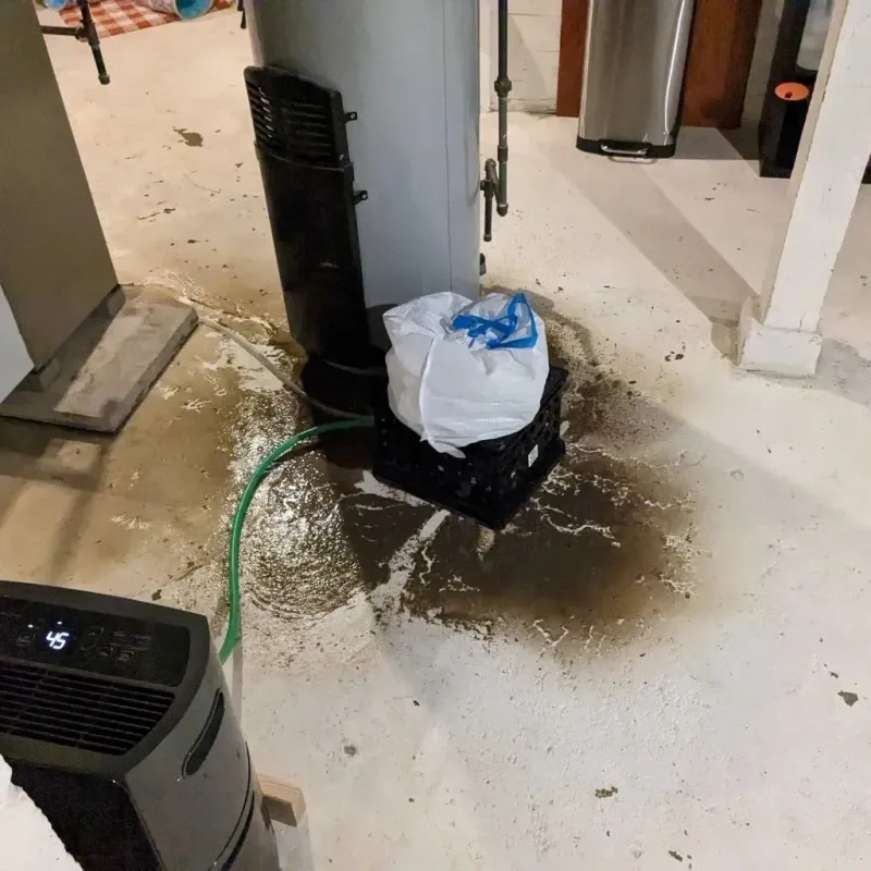 Sewage Backup Cleanup Service in Latimer, MS